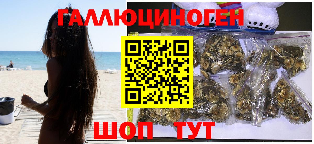 Зеленогорск  Галлюциногенные грибы мухоморы  Вход с VPN  Псилоцибиновые грибы Cubensis 