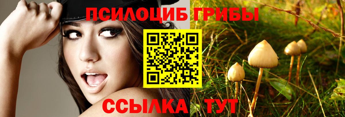 Галлюциногенные грибы мухоморы Зеленогорск